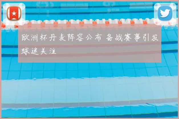 欧洲杯丹麦阵容公布 备战赛事引发球迷关注