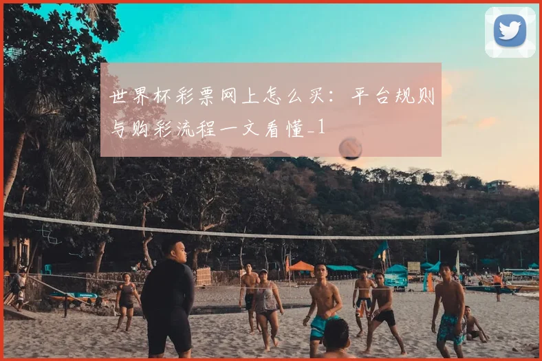 世界杯彩票网上怎么买：平台规则与购彩流程一文看懂_1