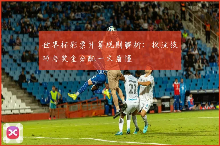 世界杯彩票计算规则解析:投注技巧与奖金分配一文看懂