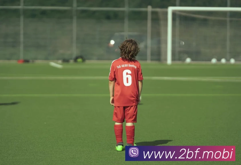 App Interface Preview